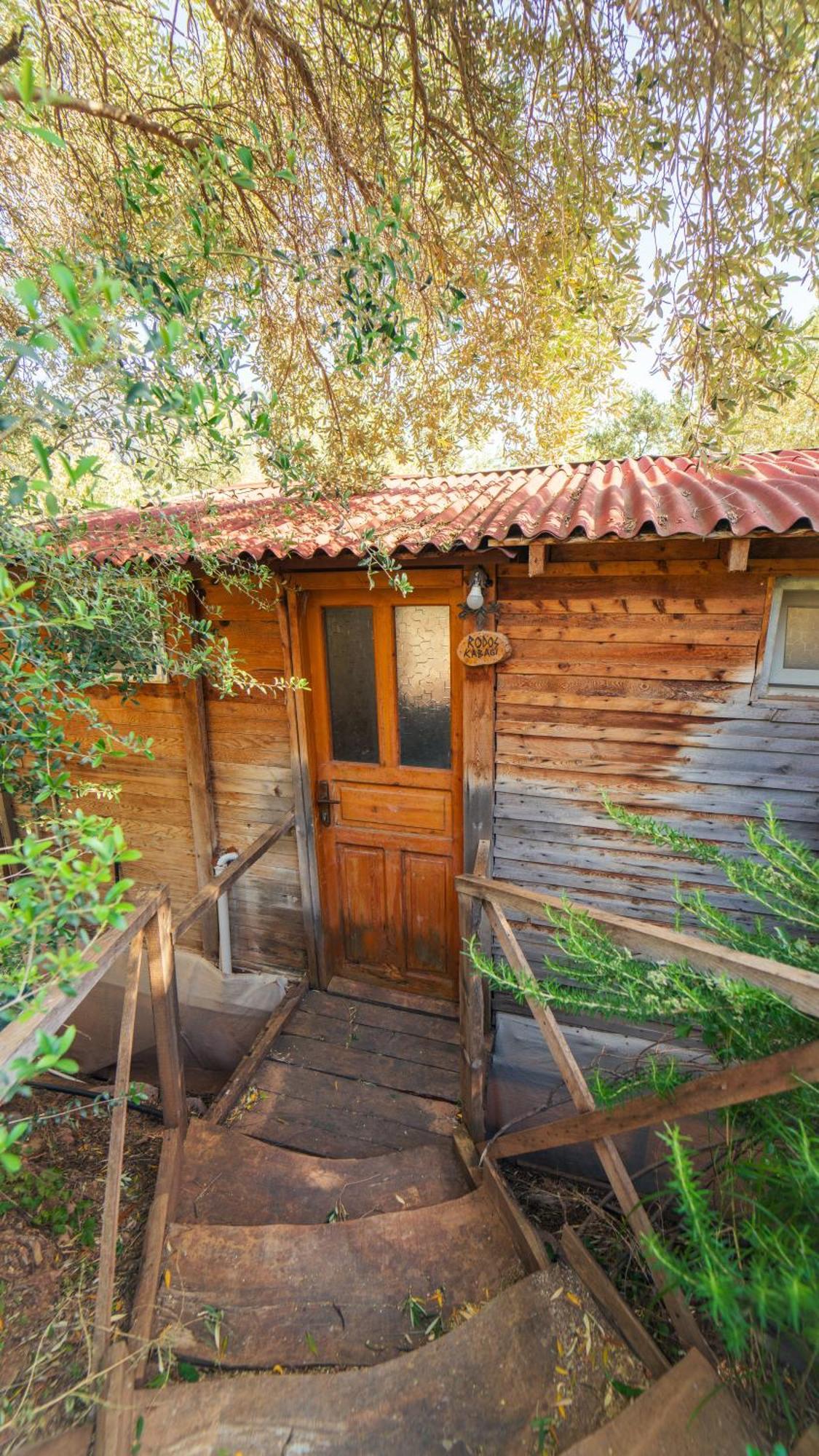 Hotel Shiva Camp à Faralya Extérieur photo