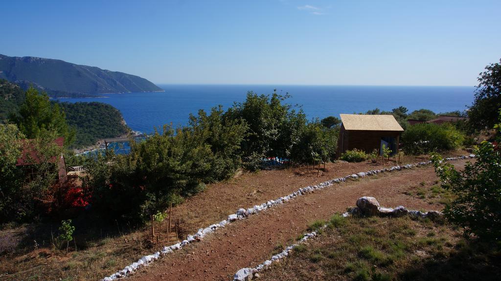 Hotel Shiva Camp à Faralya Extérieur photo