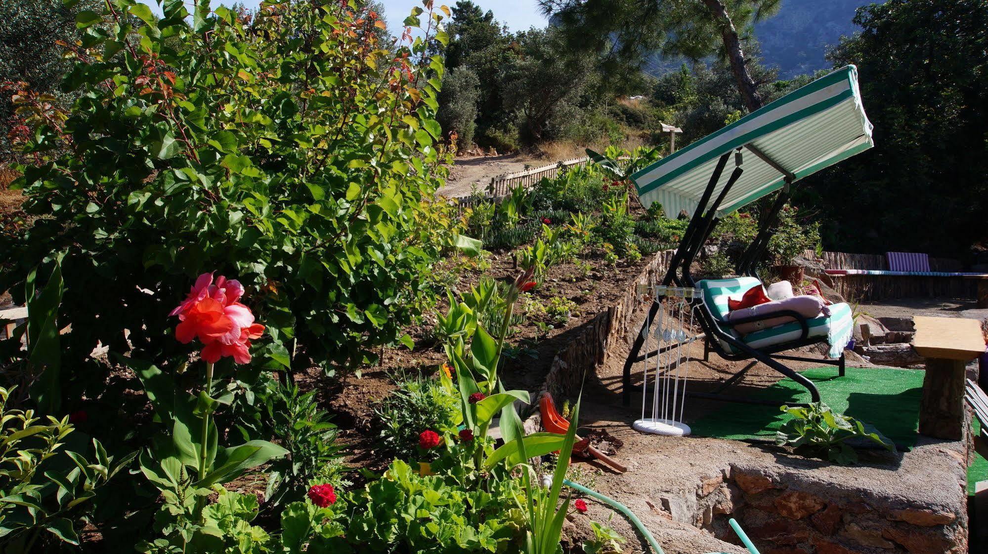 Hotel Shiva Camp à Faralya Extérieur photo